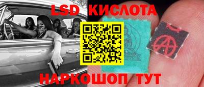 шишки Новокубанск