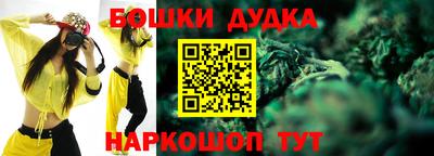 стаф Новозыбков