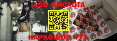 шишки Новокубанск