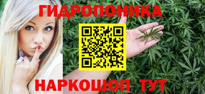 твердый Новодвинск