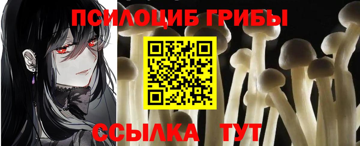 Чита  Галлюциногенные грибы MAGIC MUSHROOMS  Галлюциногенные грибы Magic Shrooms  Вход с VPN 